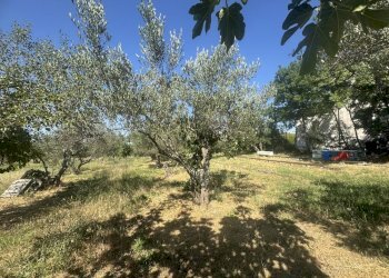 IMG_4977 - Casa indipendente torricchio, Tornareccio - foto 5