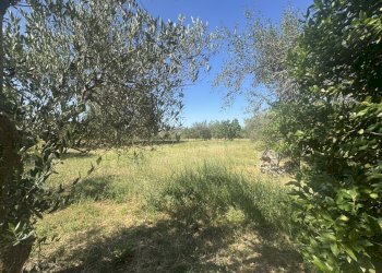IMG_4978 - Casa indipendente torricchio, Tornareccio - foto 20