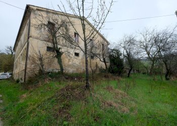 VISTA LATO FABBRICATO 3 - Agricultural land Contrada Salerna 129, Cupramontana - photo 10