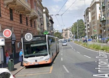Negozio Via Privata Chiesa delle Grazie, Genova (zona Sampierdarena) - foto 17