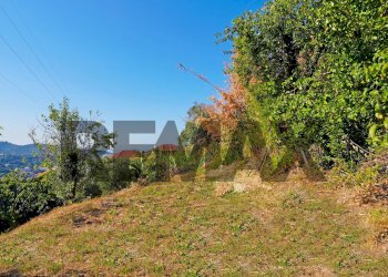 Villa Piazza Chiesa di Murta, 4 
 Bolzaneto, Genova (zona Bolzaneto) - foto 52