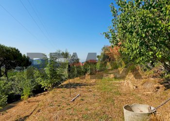 Villa Piazza Chiesa di Murta, 4 
 Bolzaneto, Genova (zona Bolzaneto) - foto 55