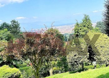 Appartamento Precollina Collina, Torino, Torino (zona Borgo Po) - foto 3