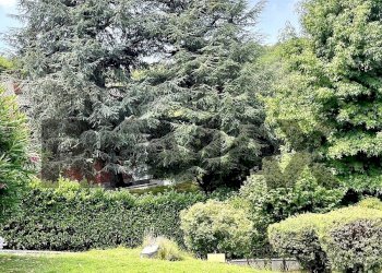 Appartamento Precollina Collina, Torino, Torino (zona Borgo Po) - foto 73