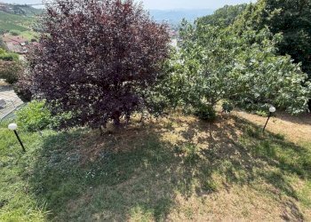 Independent house Castagnito - photo 31
