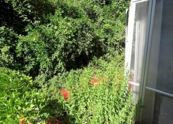 Quadrilocale Via Portazza, 69, Genova (zona Marassi) - foto 35
