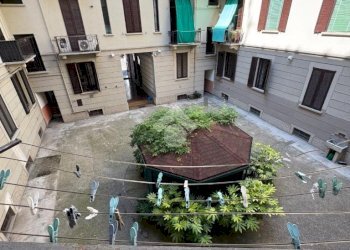 Two-room apartment Via plinio, Milano (neighborhood Città Studi) - photo 13