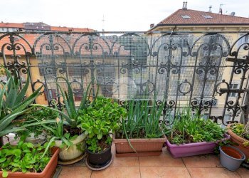 Quadrilocale Via Errico Giachino, Torino (zona Borgo Vittoria) - foto 14