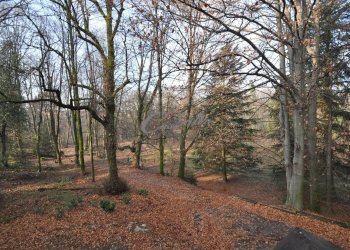Foto 5 - Rustico Via Como, Novedrate - foto 5
