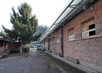 Foto 20 - Rustico Via Como, Novedrate - foto 20