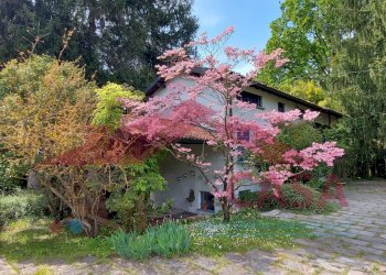 Foto 7 - Casa indipendente VIA DEL PRACALLO
 
20, Tradate - foto 4
