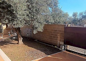 Foto 6 - Casa indipendente VIA MIGLIORAMENTO
 
157, Anzio - foto 6