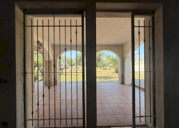 Foto 18 - Villa Massafra - foto 18