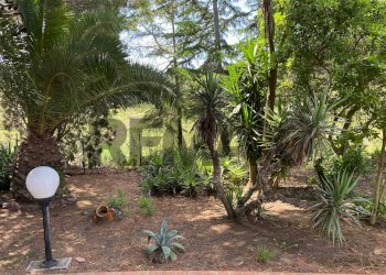 Giardino - Independent house Strada Provinciale 179 Vulcano Piano
 
snc, Lipari - photo 16