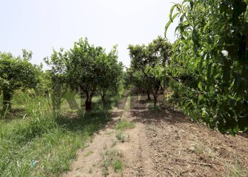 Giardino - Terreno agricolo Contrada Quadararo
snc, Calatabiano - foto 6