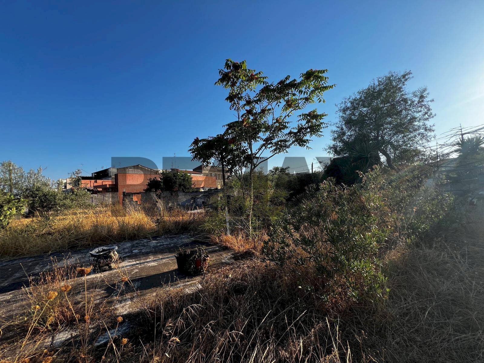 Vista delle montagne - Building land Via al Tempio
 
5, Camporotondo Etneo - photo 2