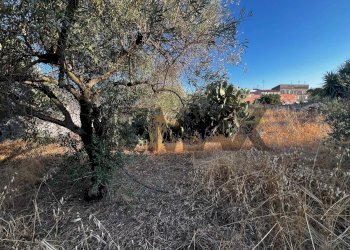 Non correlato - Building land Via al Tempio
 
5, Camporotondo Etneo - photo 6