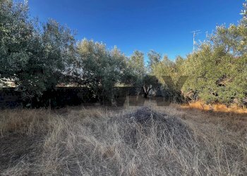Giardino - Building land Via al Tempio
 
5, Camporotondo Etneo - photo 8