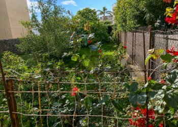 Giardino - Terreno agricolo Via Libertà
 
1, Riposto - foto 1