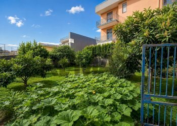 Giardino - Terreno agricolo Via Libertà
 
1, Riposto - foto 7