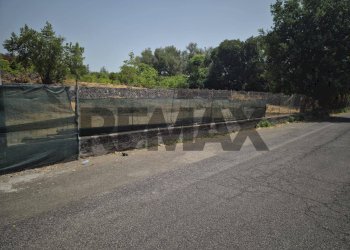 Non correlato - Terreno agricolo Via Aniante
19, Viagrande - foto 9