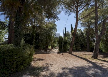 Giardino - Casa indipendente Via Nevola
 
80, Corinaldo - foto 11
