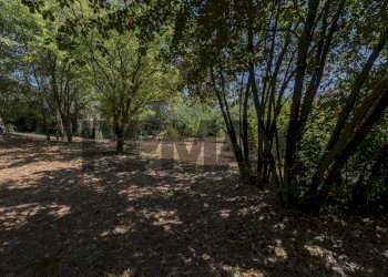 Giardino - Casa indipendente Via Nevola
 
80, Corinaldo - foto 23