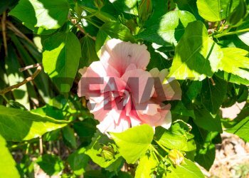Non correlato - Trilocale Via Cagli Corrado
 
4, Taormina - foto 37
