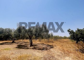 Giardino - Villa Contrada Reitani
 
snc, Portopalo di Capo Passero - foto 21