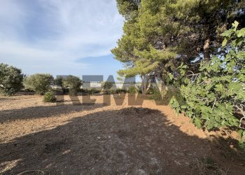 Giardino - Villa Contrada San Lorenzo
 
snc, Noto - photo 8