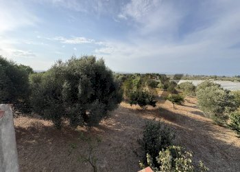 Giardino - Villa Contrada San Lorenzo
 
snc, Noto - photo 14