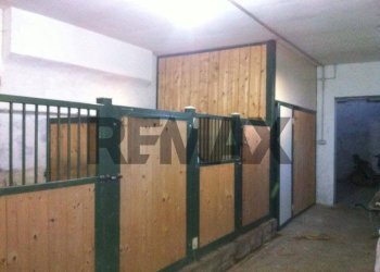 Hall / corridoio - Casa indipendente prondolo
 
91, Portomaggiore - foto 40