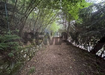 Giardino - Rustic Cascina Balchi
 
16, Cureggio - photo 13