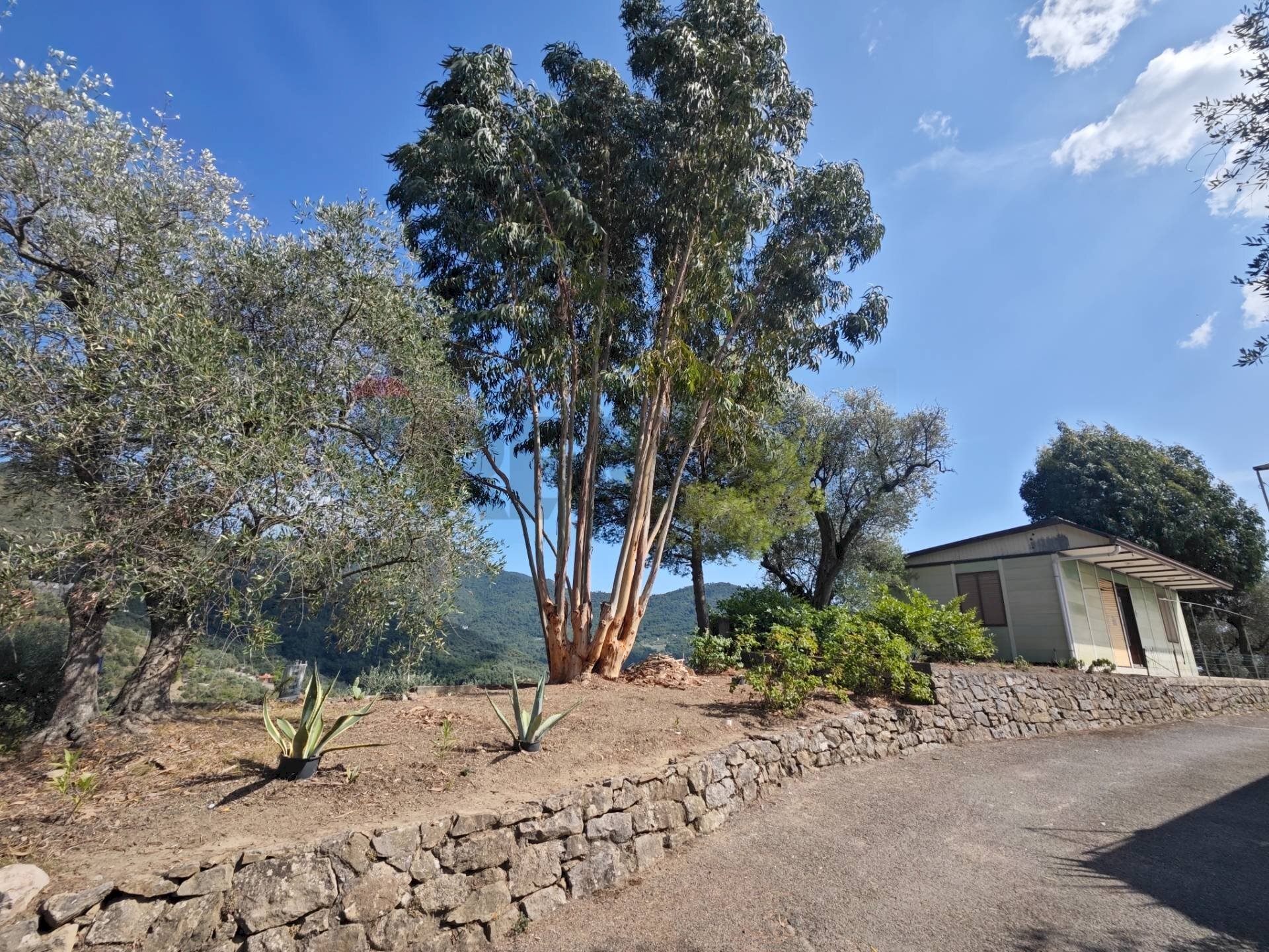 Casa all\'aperto - Villa Località Scoglio
snc, Perinaldo - foto 2