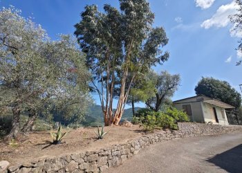 Casa all\'aperto - Villa Località Scoglio
 
snc, Perinaldo - foto 2