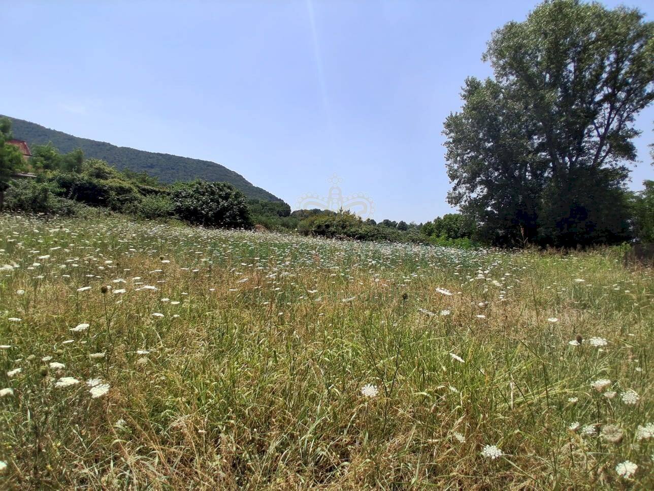 Foto 3 - Building land via triflisco, Bellona - photo 3