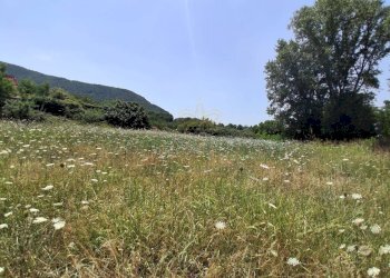 Foto 3 - Building land via triflisco, Bellona - photo 3