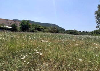 Foto 4 - Building land via triflisco, Bellona - photo 4