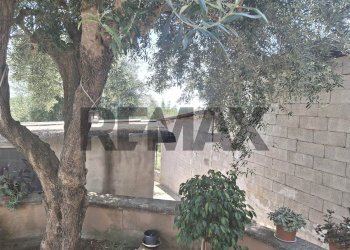 Giardino - Casa semi indipendente Via del Carpino
 
2, Minturno - foto 21