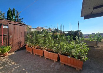 Terrazza - Attico Via Gioele Solari
75, Roma - foto 42