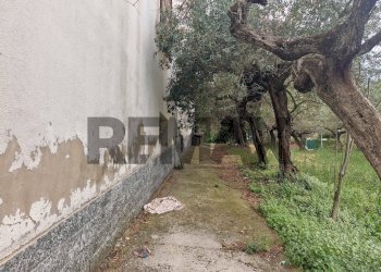 Giardino - Casa indipendente VIALE DEI PINI
 
73, Collecorvino - foto 11
