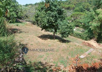 Foto 11 - Rustico Zanego, Ameglia - foto 11
