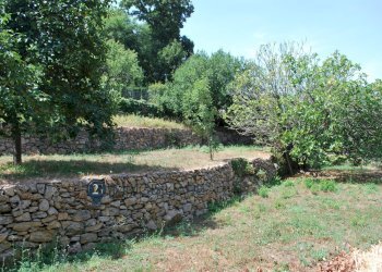 Foto 13 - Rustico Zanego, Ameglia - foto 13