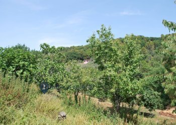 Foto 15 - Rustico Zanego, Ameglia - foto 15