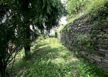 Giardino - Casa indipendente via Regina Nuova, Carate Urio - foto 21