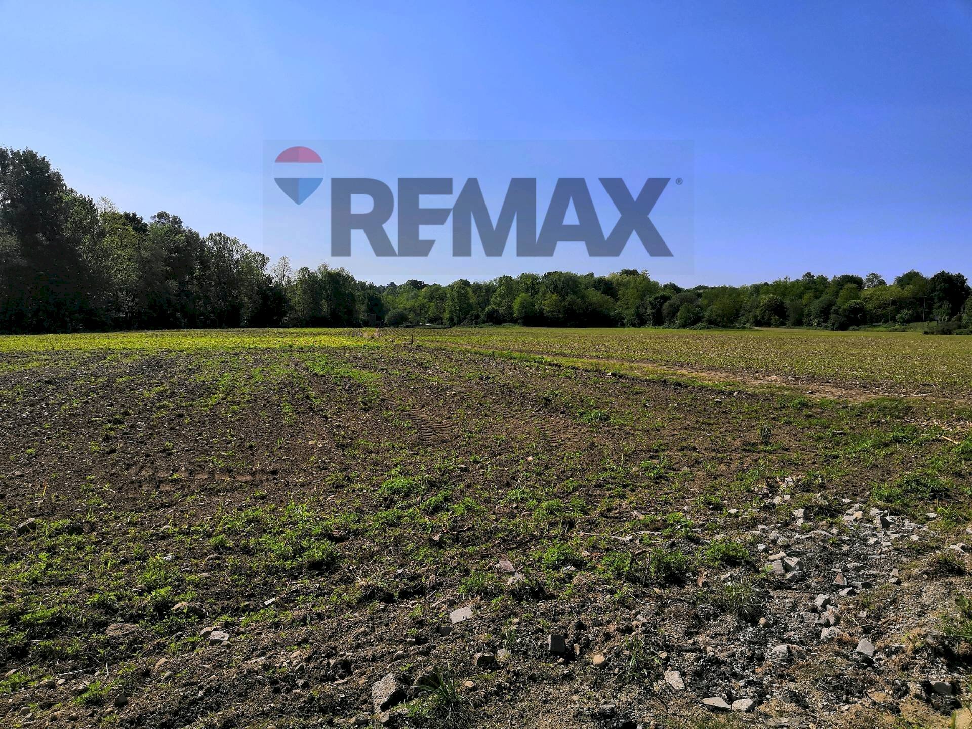 Giardino - Terreno agricolo via raimondi
56, Fino Mornasco - foto 2