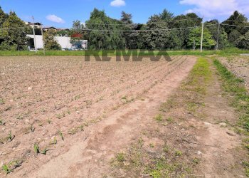 Giardino - Terreno agricolo via raimondi
56, Fino Mornasco - foto 4