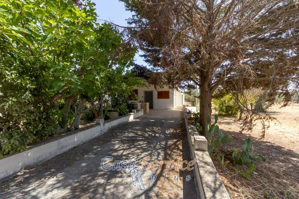 Giardino - Villa SP223, Matino - foto 2