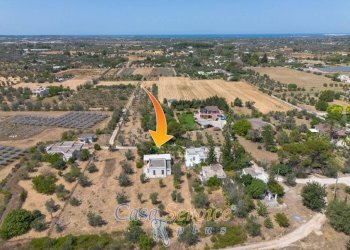 Vista - Villa SP223, Matino - foto 29