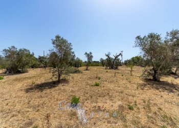 Terreno - Villa SP223, Matino - foto 34